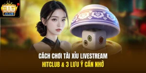 Cách Chơi Tài Xỉu Livestream HITCLUB & 3 Lưu Ý Cần Nhớ